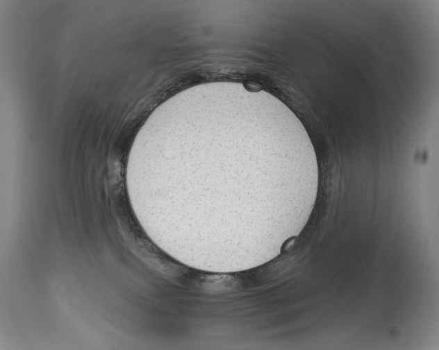 X0000113130087200910021426