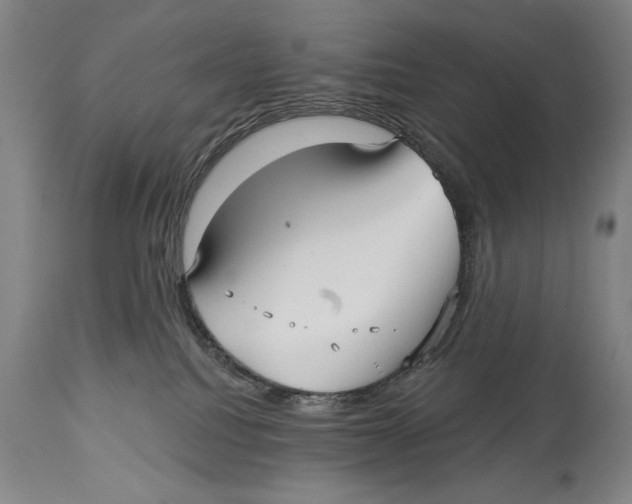 X0000113130088200910021426