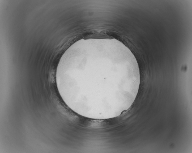 X0000113130090200910021426