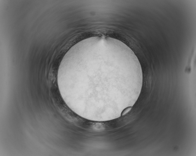 X0000113130091200910021426