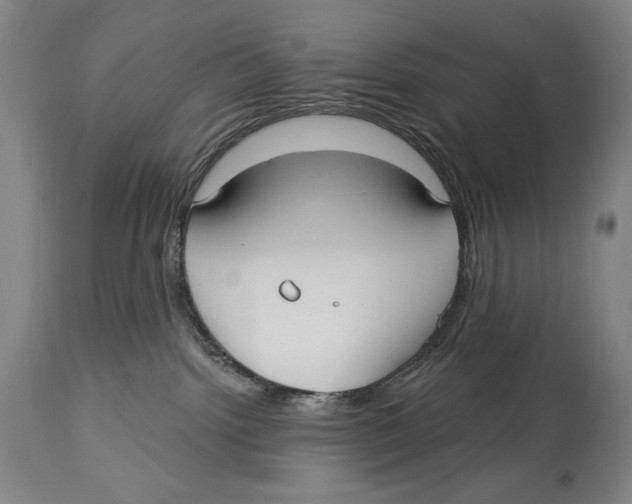 X0000113130092200910021426