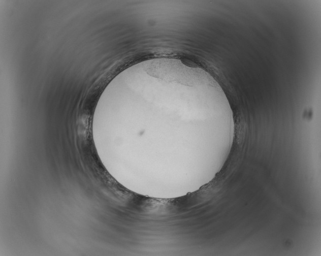 X0000113130093200910021426