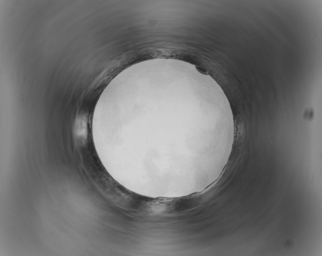 X0000113130094200910021426