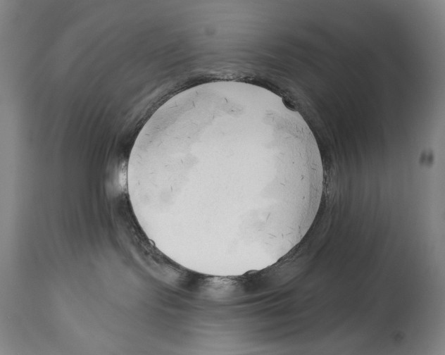 X0000113130095200910021426