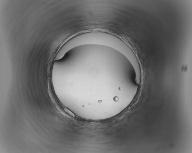 X0000113130097200910021425