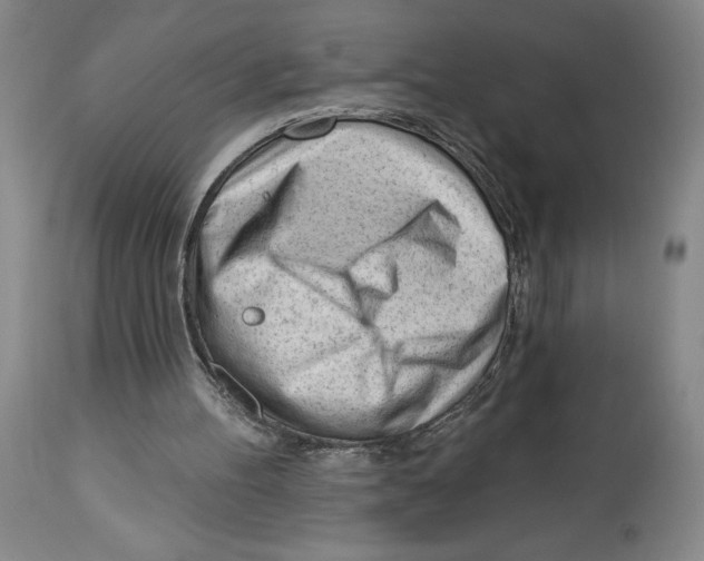 X0000113130100200910021425