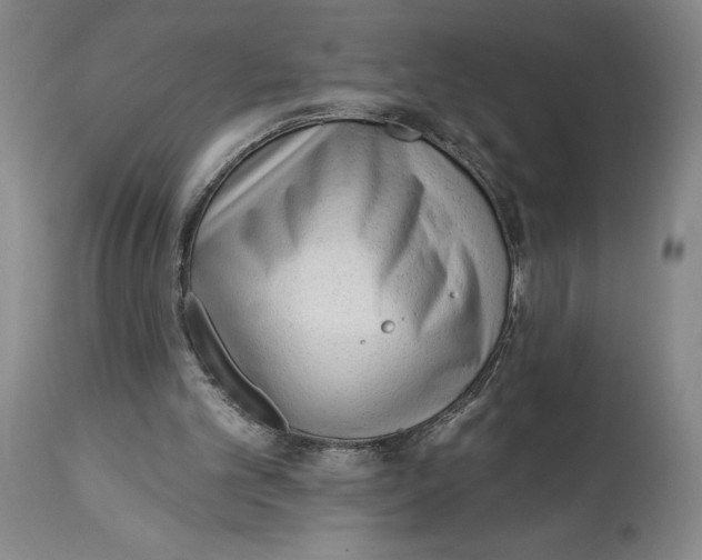 X0000113130101200910021425