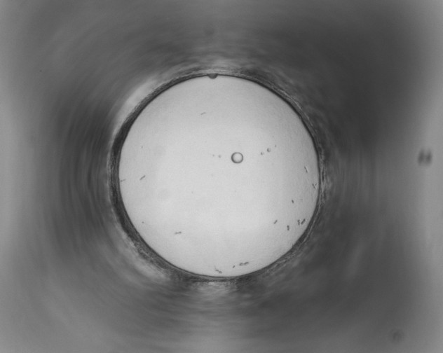 X0000113130102200910021425