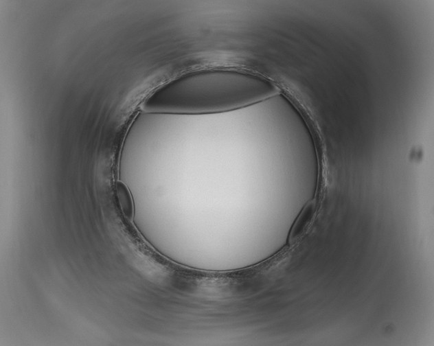 X0000113130105200910021425