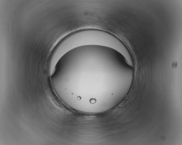 X0000113130108200910021425