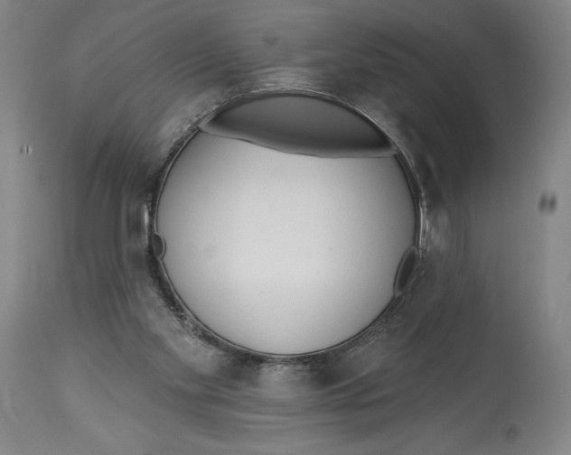 X0000113130109200910021425