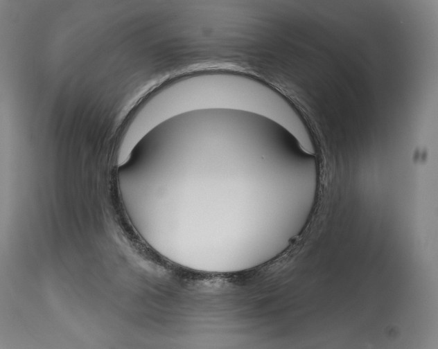 X0000113130112200910021425