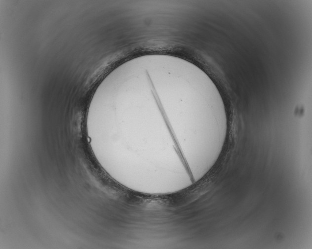 X0000113130115200910021425