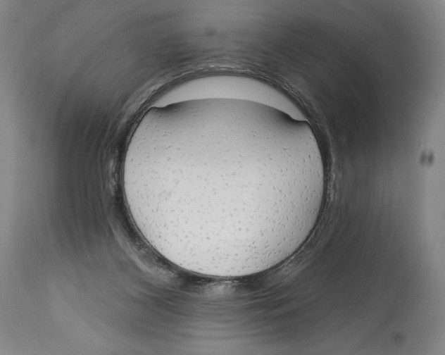 X0000113130116200910021425