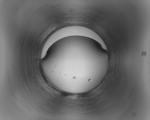 X0000113130120200910021425