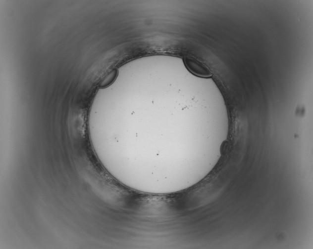 X0000113130121200910021425