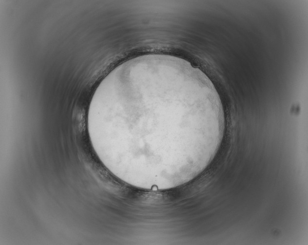 X0000113130123200910021425