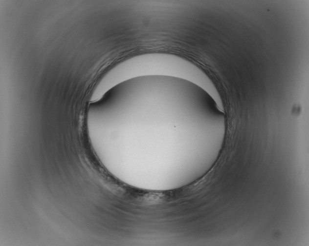 X0000113130124200910021425