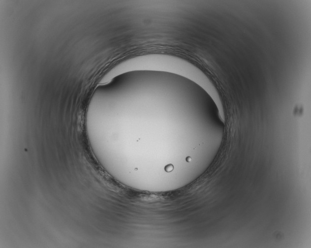 X0000113130125200910021425