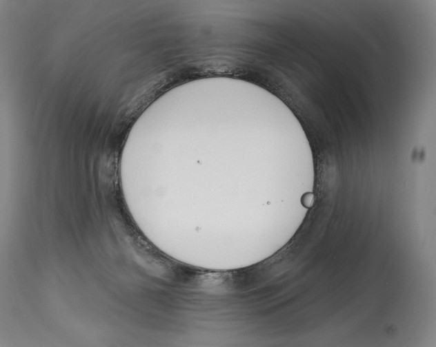 X0000113130126200910021425