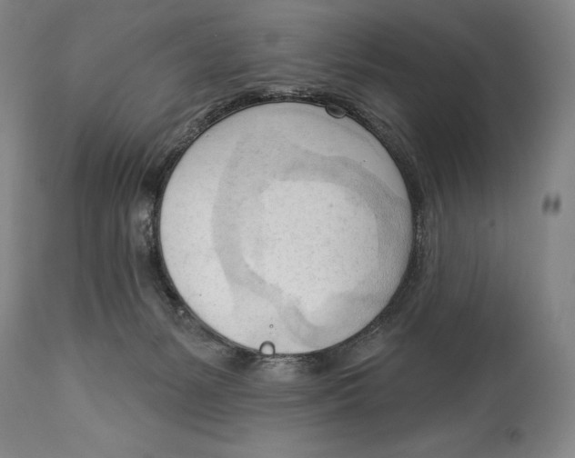 X0000113130127200910021425