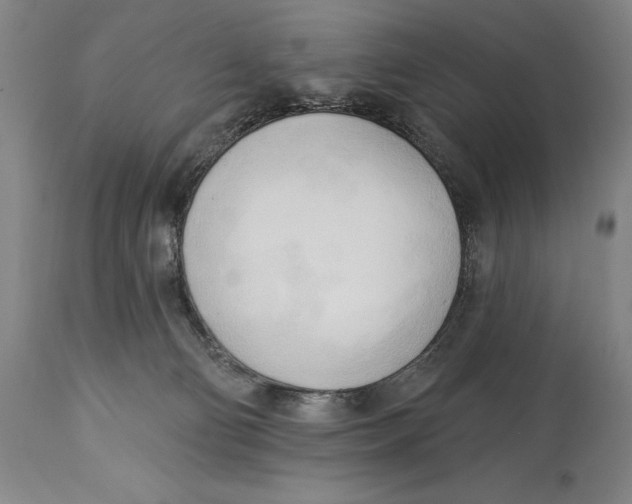 X0000113130130200910021425