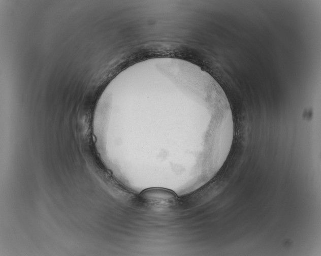 X0000113130131200910021425