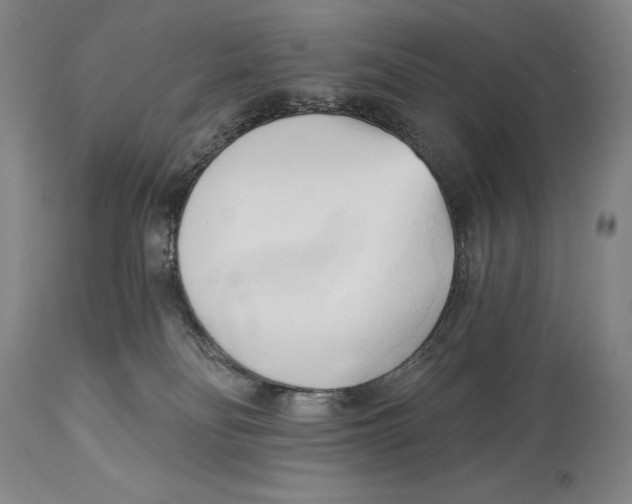 X0000113130134200910021425