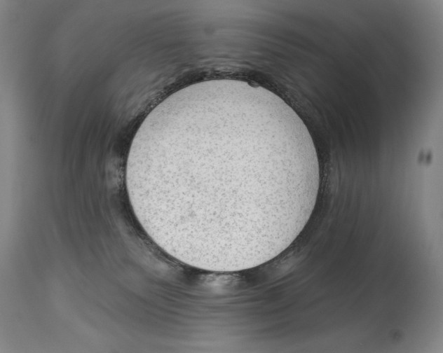 X0000113130135200910021425