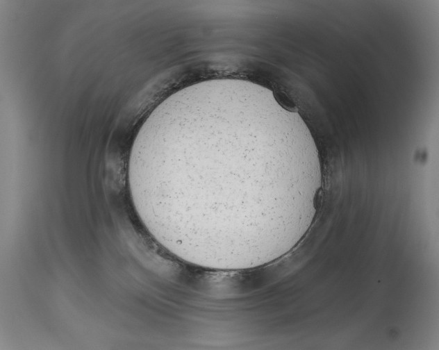 X0000113130136200910021425