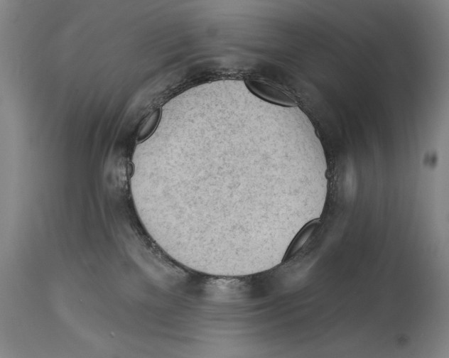 X0000113130137200910021425