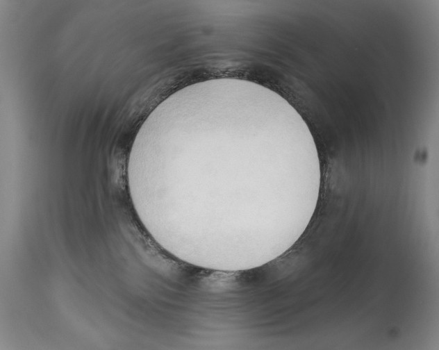 X0000113130138200910021425