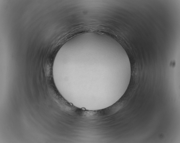 X0000113130139200910021425