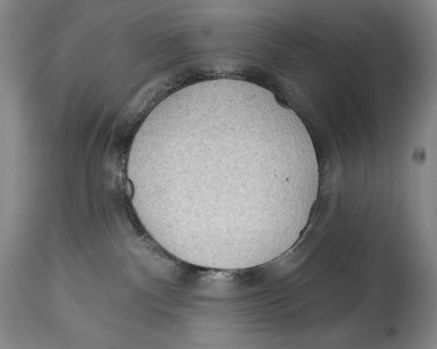 X0000113130140200910021425