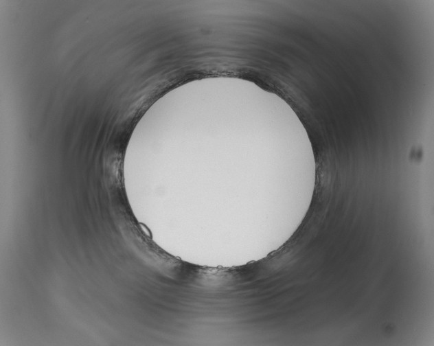 X0000113130141200910021425