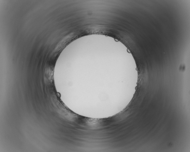 X0000113130142200910021425