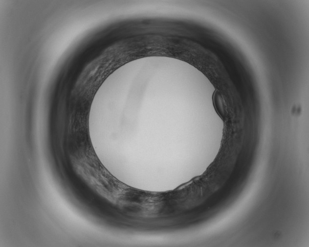 X0000113130143200910021425