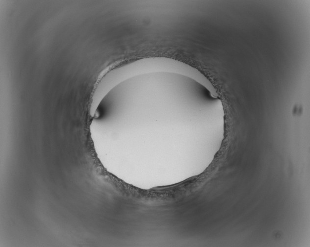 X0000113130144200910021425