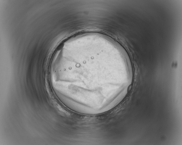 X0000113130145200910021424