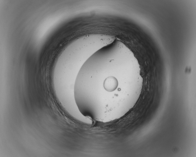 X0000113130146200910021424