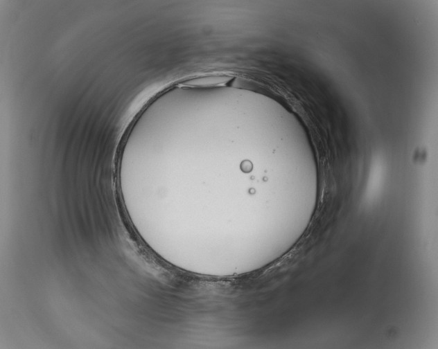 X0000113130147200910021424