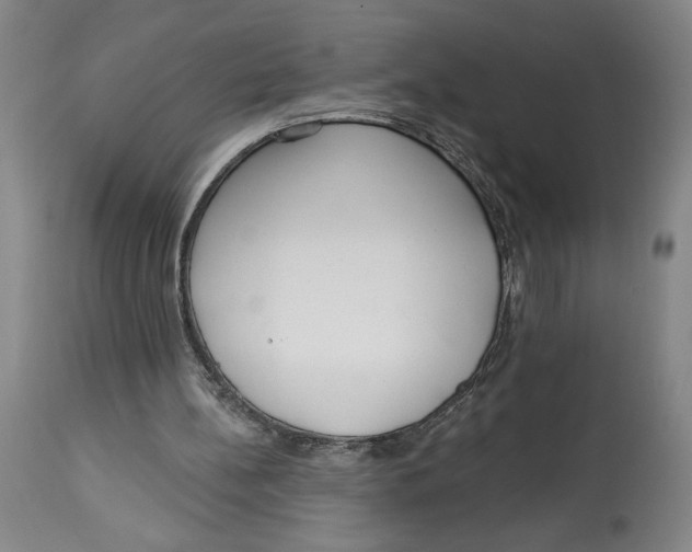 X0000113130148200910021424