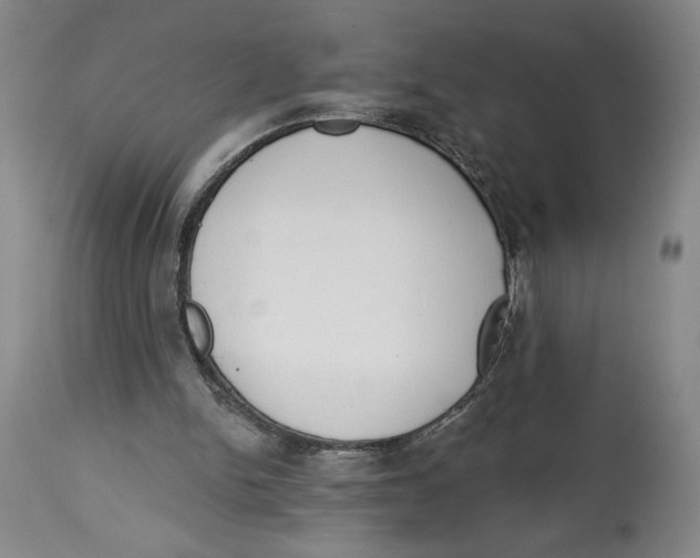 X0000113130150200910021424