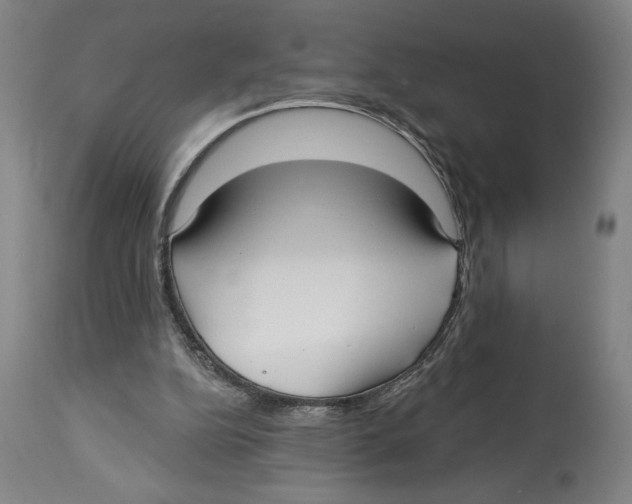 X0000113130152200910021424