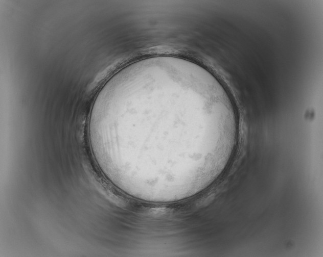 X0000113130153200910021424