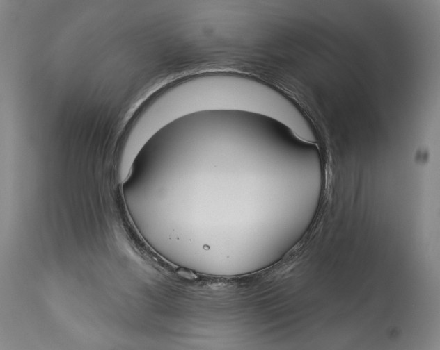 X0000113130156200910021424