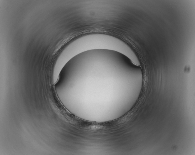 X0000113130158200910021424