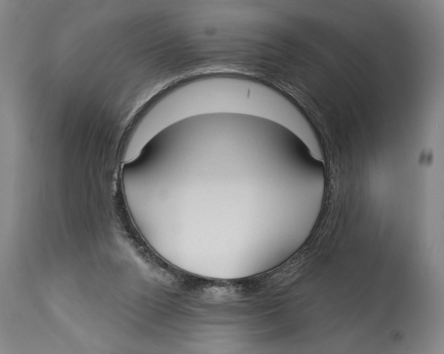 X0000113130160200910021424