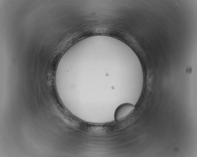 X0000113130161200910021424