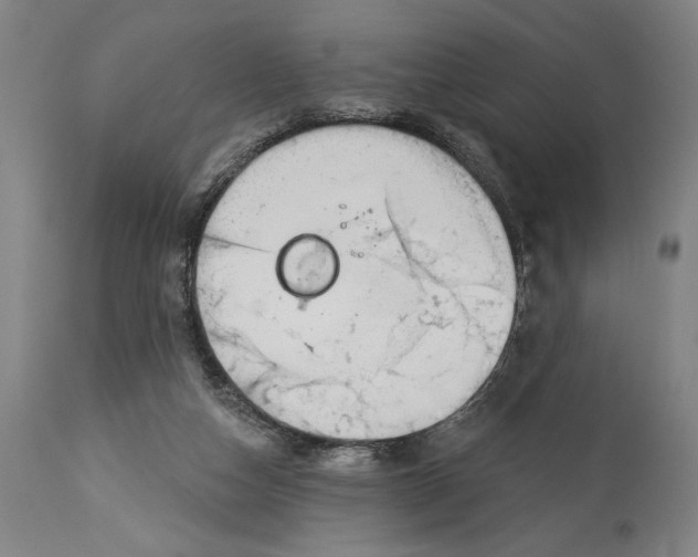 X0000113130162200910021424